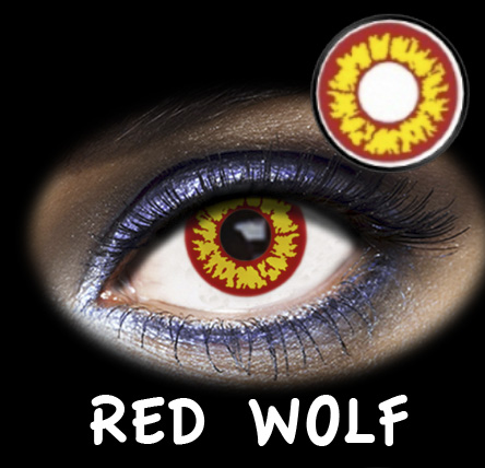 FANTASIA 1 WEEK RED WOLF 2PK